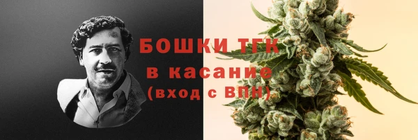 гашик Фурманов