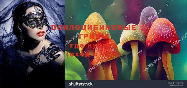 крисы Зеленокумск