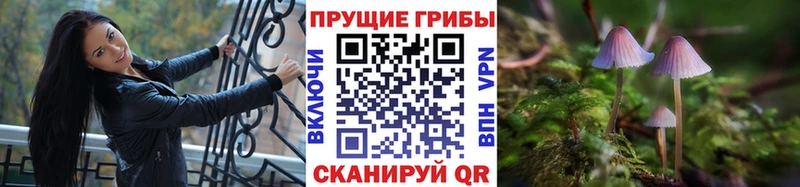 Галлюциногенные грибы мицелий Купить закладки Миллерово